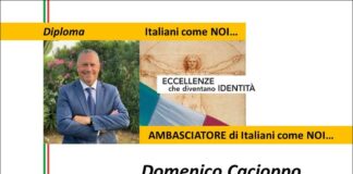 Domenico Cacioppo, Dirigente Regione Siciliana