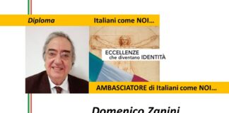 Domenico Zanini