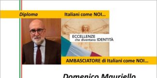 Domenico Mauriello, Segretario Generale Assocamerestero