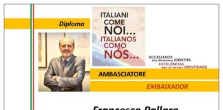 Francesco Pallaro, Presidente della Camera Italo-Brasiliana di Parana (Italocam)